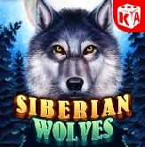 Siberianwolves